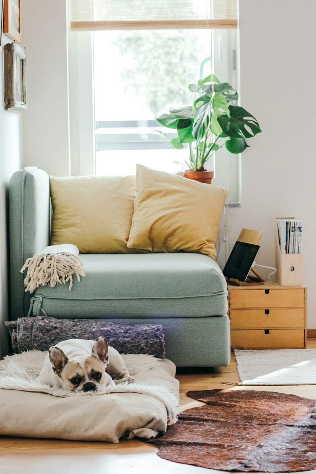 Choosing Affordable Smart Home Security Devices