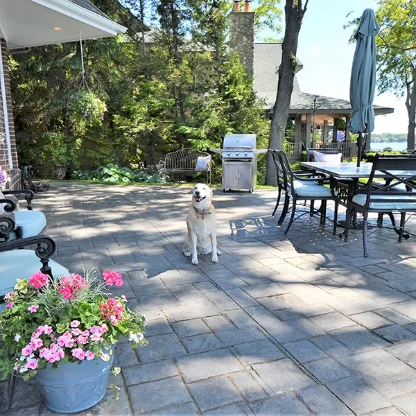 Allied Clear Security Camera Views